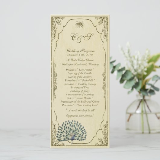 25  pauw bruiloft programma's (Staand voorkant)