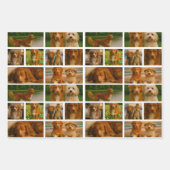 25 Photo Collage Personalized Template Inpakpapier Vel (Voorkant 3)