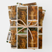 25 Photo Collage Personalized Template Inpakpapier Vel (In situ)