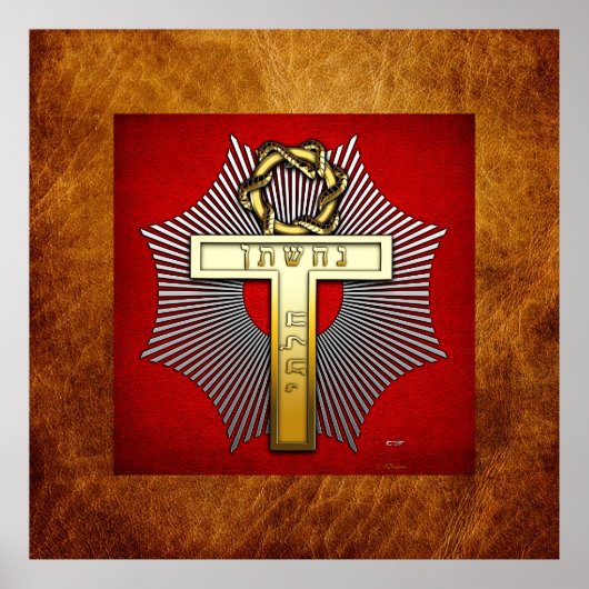 25e graad: Master of Achievement Poster (Voorkant)