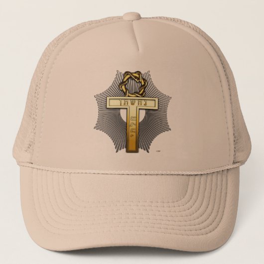 25e graad: Master of Achievement Trucker Pet (Voorkant)