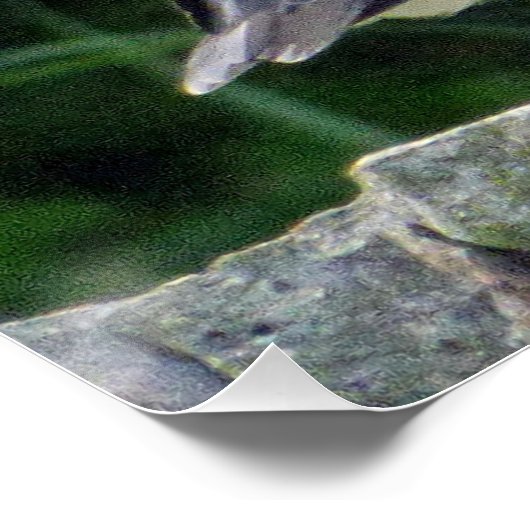 25x20 Glanzend Poster met puffine (Hoek)