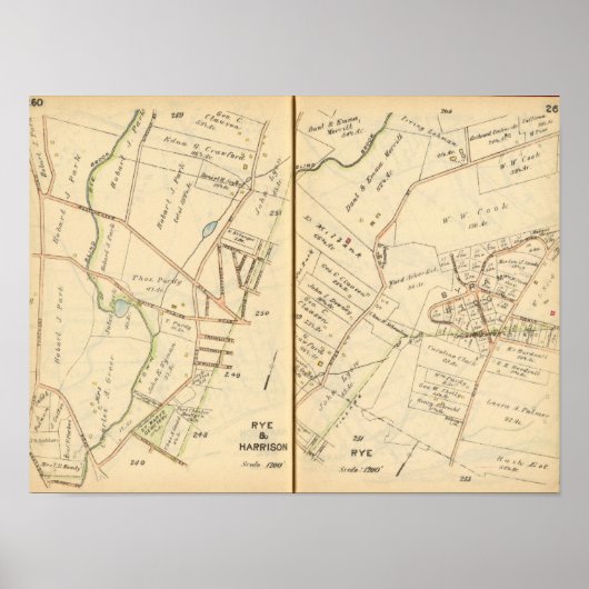 260261 Rogge, Harrison Poster (Voorkant)