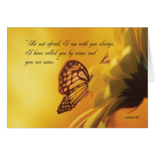 2607 Wees niet bang voor vlinder en ventilator