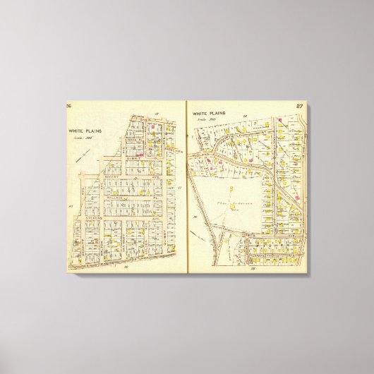 26-27 White Plains Canvas Afdruk (Voorkant)