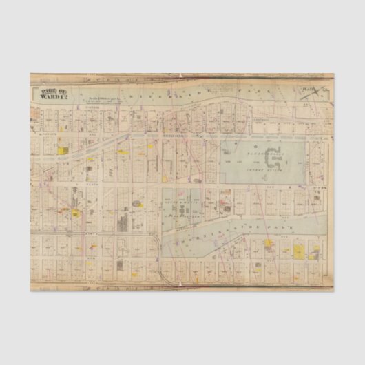 26 Ward 12 Tissuepapier (Voorkant)