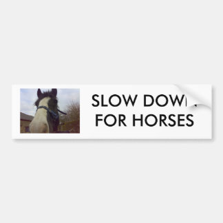 27012007032(1), VERTRAAGD VOOR PAARDEN BUMPERSTICKER