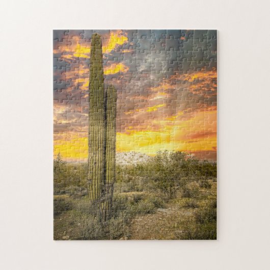 2706 - Het woestijnlandschap van Arizona bij zonso Legpuzzel (Verticaal)