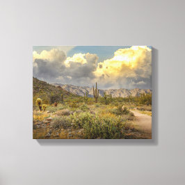 2729 - Arizona woestijn met bergen, cactus, wolken Canvas Afdruk