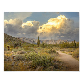 2729 - Het woestijnlandschap van Arizona bij zonso Foto Afdruk