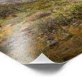 2729 - Het woestijnlandschap van Arizona bij zonso Foto Afdruk (Hoek)