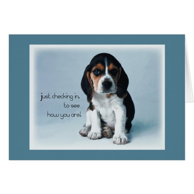 2769 Puppy Checking in (Voorkant Horizontaal)