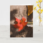 2787 Autumn Maple Leaf Sympathikaart Kaart (Gele Bloem)