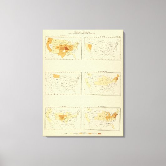 27 Interstatelijke migratie 1890 MONJ Canvas Afdruk (Voorkant)