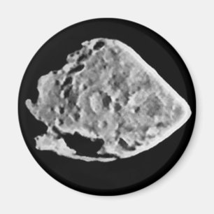 2867 Steins (1969 VC) Magneet