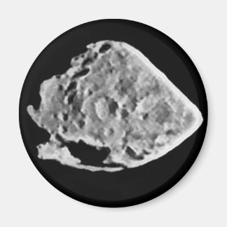 2867 Steins (1969 VC) Magneet