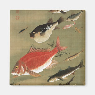 28. 群 図, 若 diverse vissoorten, Jakuchu, Japan Art. Magneet