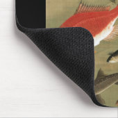 28. 群 図, 若 diverse vissoorten, Jakuchu, Japan Art. Muismat (Hoek)