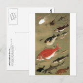 28. 群 魚 図, 若 diverse vissoorten, Jakuchu, Japan Ar Briefkaart (Voorkant / Achterkant)
