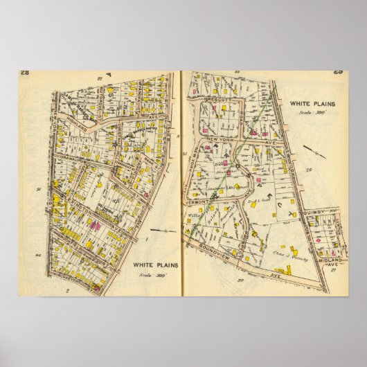 28-29 White Plains Poster (Voorkant)