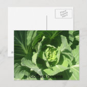 28 feb . 193 , colard greens briefkaart (Voorkant / Achterkant)