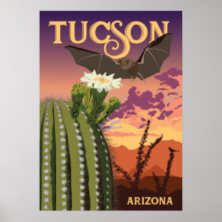 28 x20 inch Bat en Saguaro - Tucson, Arizona Poster