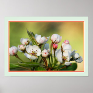 28 x 20 inch, voordelig Poster papier (steen)