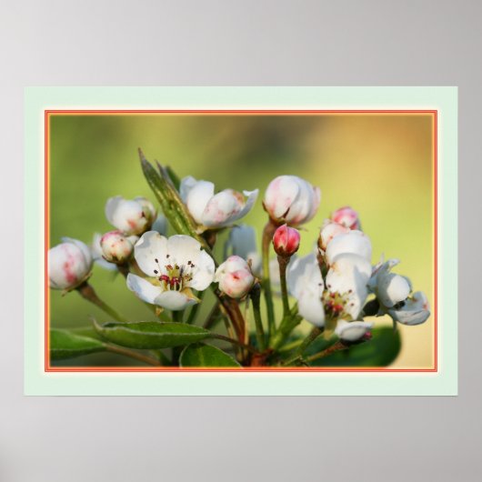 28 x 20 inch, voordelig Poster papier (steen) (Voorkant)