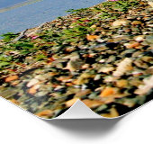 28x14 Glanzend Poster van scène van Homer Alaska (Hoek)