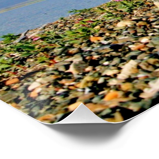 28x14 Glanzend Poster van scène van Homer Alaska (Hoek)