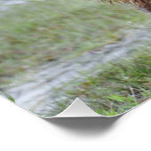 28x18.67 Glanzend Poster van grizzly beer (Hoek)