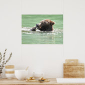 28x20 Poster papier (steen) met grizzly beer (Keuken)