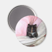 29154_Muffin-the-Cat_620 Magneet (Voorkant / Achterkant)