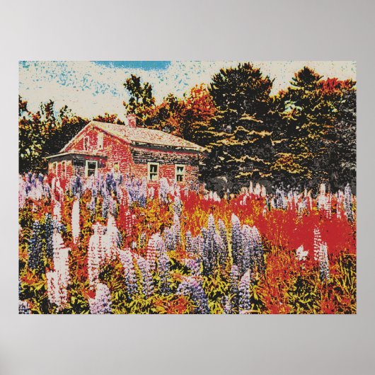 294 POSTER (Voorkant)