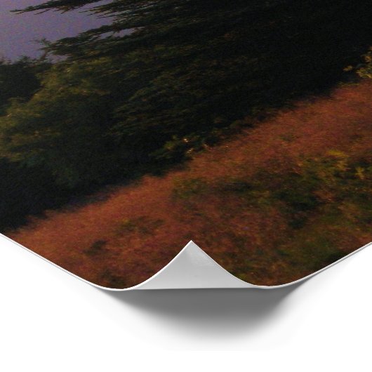 2973 POSTER (Hoek)