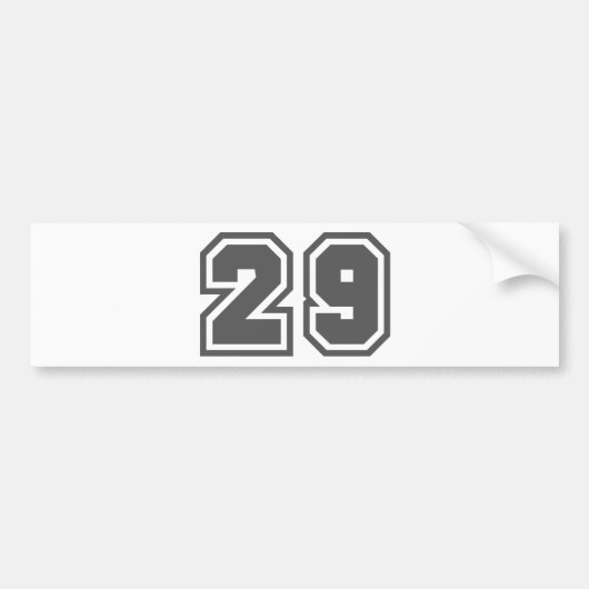 29 BUMPERSTICKER (Voorkant)