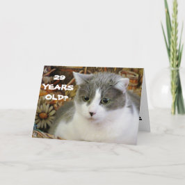 29? Je hebt Cat to Be Kitten Me Kaart