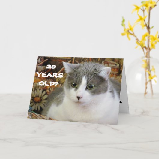29? Je hebt Cat to Be Kitten Me Kaart (Gele Bloem)