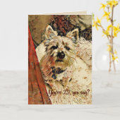 29 opnieuw? De Kaart van de verjaardag (Gele Bloem)