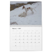 2 2016 Silken Windhounds & Friends Calendar Kalender (Feb 2027)