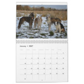 2 2016 Silken Windhounds & Friends Calendar Kalender (Jan 2027)