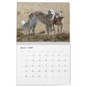2 2016 Silken Windhounds & Friends Calendar Kalender (Mar 2027)