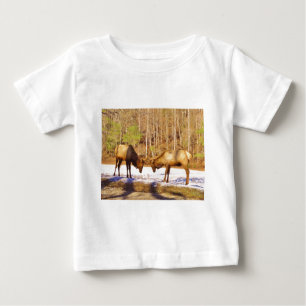 2~ 2 Bull Elk in de sneeuw