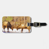 2~ 2 Bull Elk in de sneeuw Bagagelabel (Voorkant horizontaal)