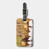 2~ 2 Bull Elk in de sneeuw Bagagelabel (Voorkant verticaal)