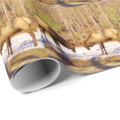 2~ 2 Bull Elk in de sneeuw Cadeaupapier (Rol Hoek)