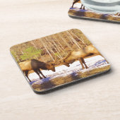 2~ 2 Bull Elk in de sneeuw Drankjes Onderzetter (Linkerzijde)