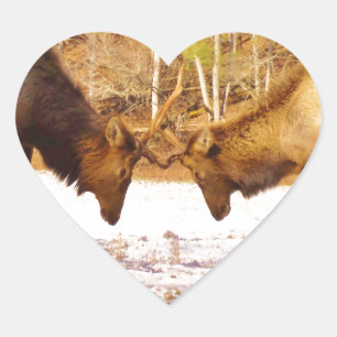 2~ 2 Bull Elk in de sneeuw Hart Sticker