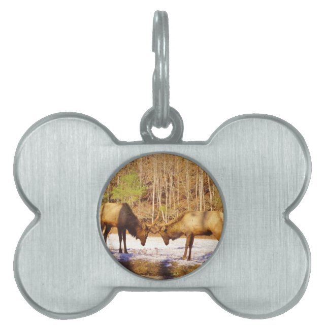 2~ 2 Bull Elk in de sneeuw Huisdieren Naamplaatje (voorkant)