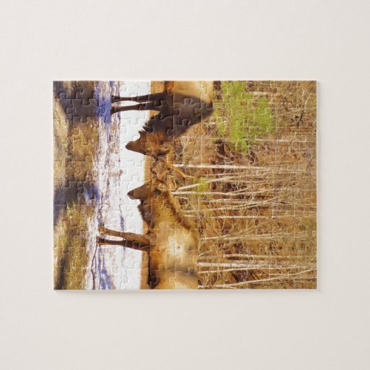 2~ 2 Bull Elk in de sneeuw Legpuzzel (Horizontaal)